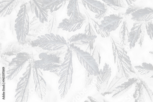 Wallpaper Mural Frosted Leaf Design on Transparent Background Torontodigital.ca