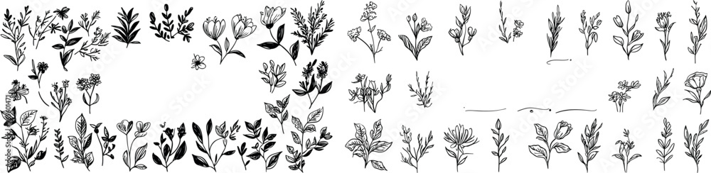Floral rustic trendy greenery with botanical collection of herbs and wildflowers. Editable stroke. Floral rustic trendy greenery with botanical collection of herbs and wildflowers. Editable stroke.