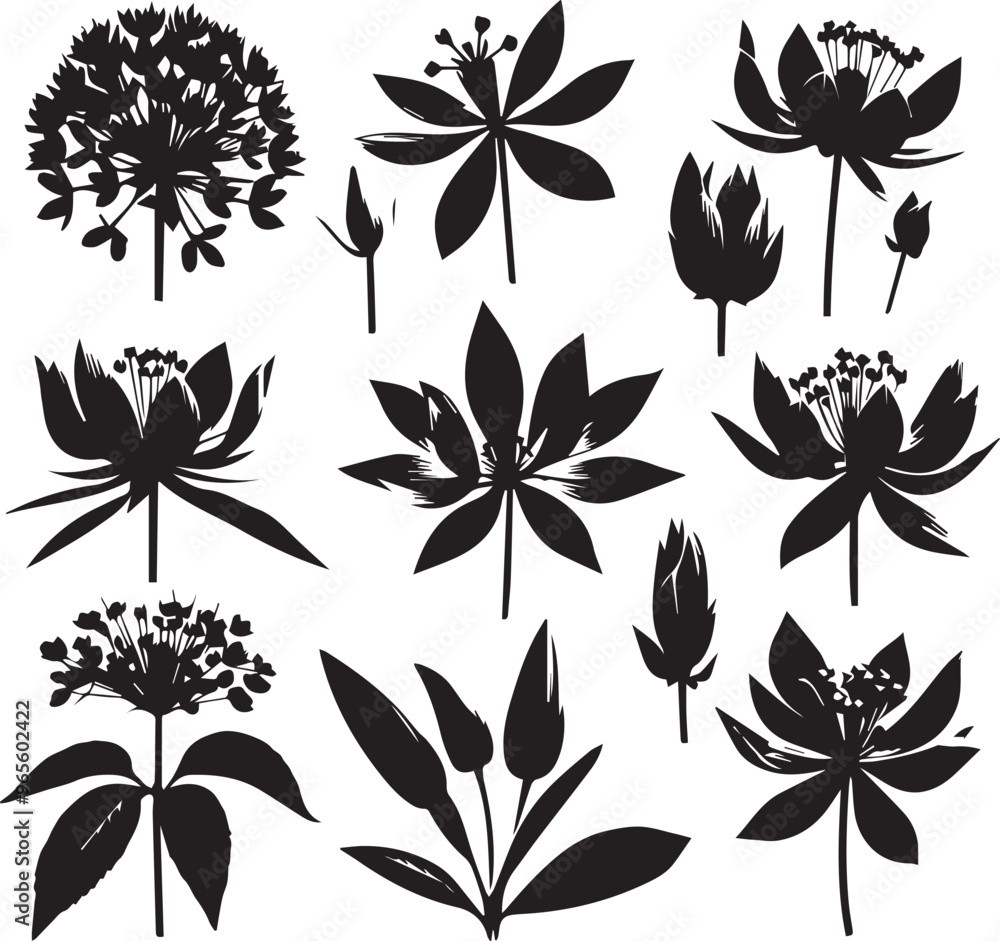 Obraz premium Flower Shadowy Silhouette Vector Art Pack