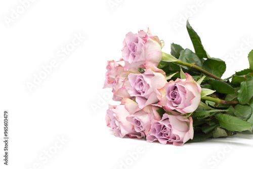 Pink roses on white background. Valentine's background. Pattern of flowers. photo