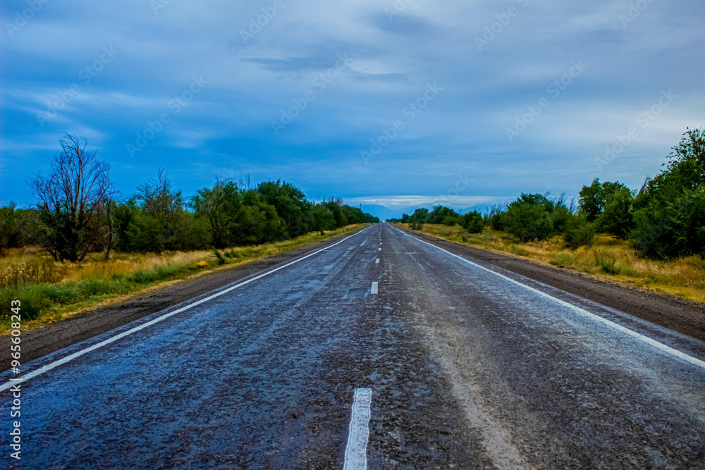 Fototapeta premium road in the countryside