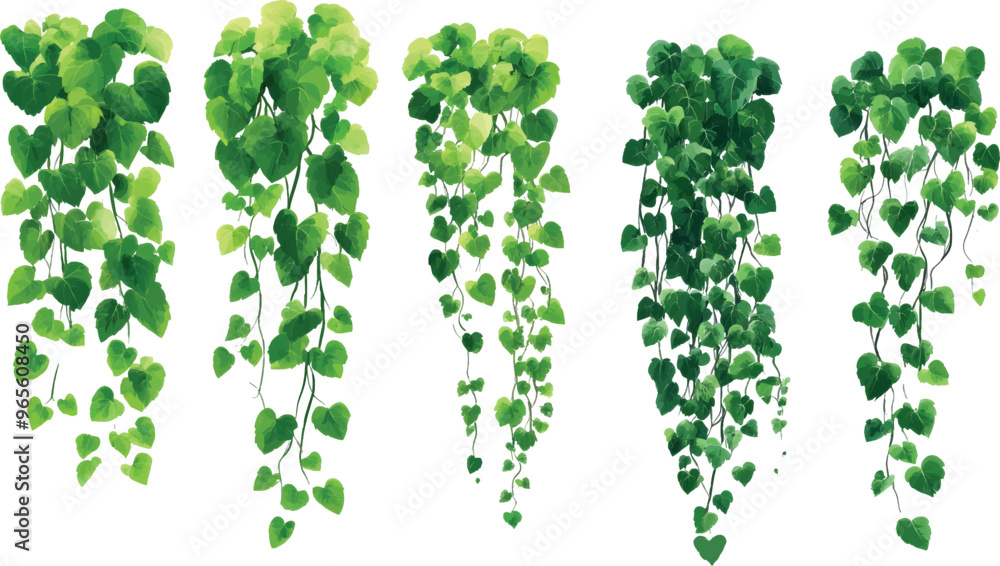 set of cartoon green ivy. Creeper tree foliage border, garden decoration. vector illustration set of cartoon green ivy. Creeper tree foliage border, garden decoration. vector illustration