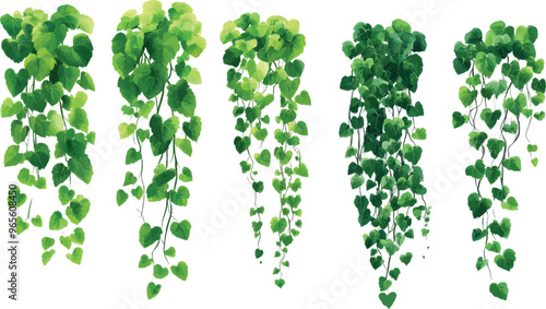 set of cartoon green ivy. Creeper tree foliage border, garden decoration. vector illustration