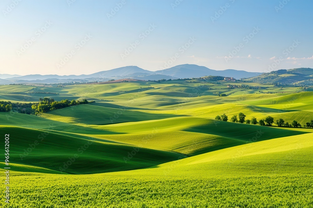 Obraz premium A wide shot of rolling hills and farmland at sunrise, with soft light illuminating the landscape