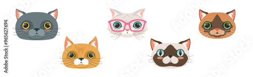 Funny Cat Muzzle and Snout with Whiskers Vector Set