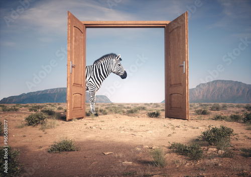 Zebra enters opened door. T...