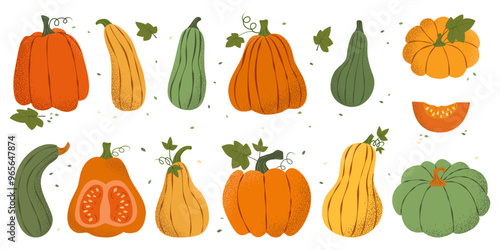 Set colorful autumn pumpkins with noise texture, hand drawn lines in flat style. Design elements for Thanksgiving, Halloween, Harvest festival