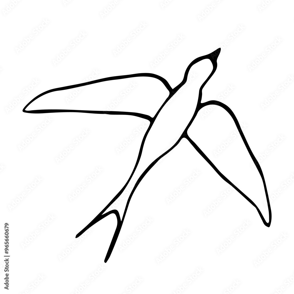 Simple hand drawn vector drawing with black outline. Swallow bird in flight, nature, ornithology. Sketch in ink. Simple hand drawn vector drawing with black outline. Swallow bird in flight, nature, ornithology. Sketch in ink.