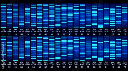 Dna sequence animation