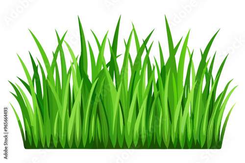 Green grass field on small hills with blue sky