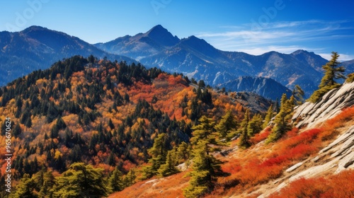 Pine-covered mountain ridge with vibrant autumn colors under blue sky