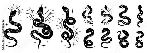 Vector snake set of mystical magic objects set