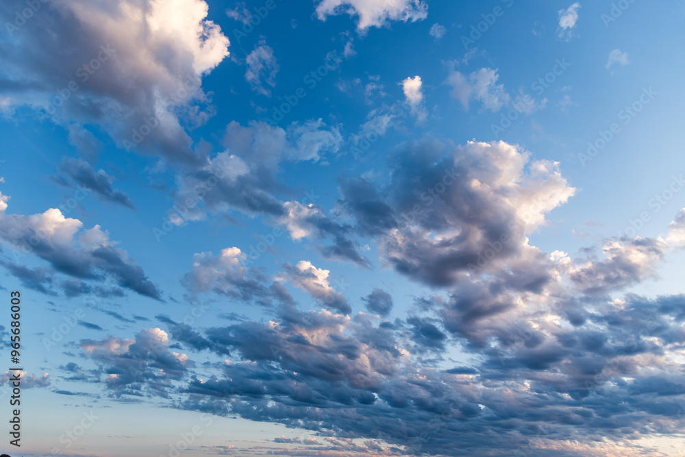 Obraz premium Beautiful white puffy clouds against blue sky during dramatic sunset