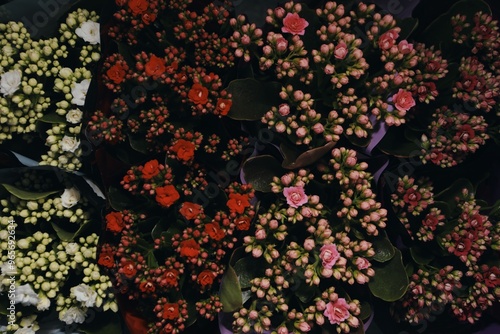 
a flower shop, a warehouse where plants are sold