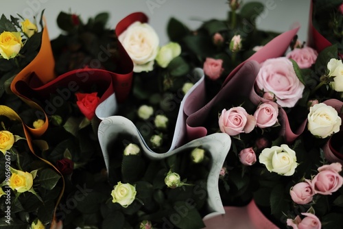 
a flower shop, a warehouse where plants are sold