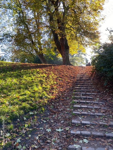 Sunny Fall Day