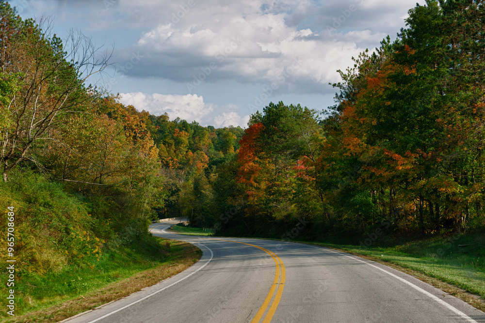 Naklejka premium Fall Foliage Road