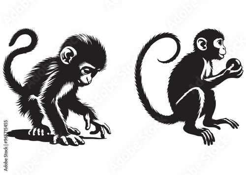 Monkey silhouette vector illustration, monkey animal vector silhouette, monkey silhouette, icon logo, vector illustration of black logo monkey
silhouette, monkey icon vector illustration 