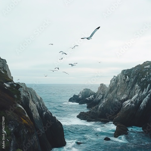 A flock of seagulls fly over a rocky cove with a blue ocean.