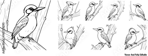 Woodpecker hand drawing coloring page and outline vector design photo