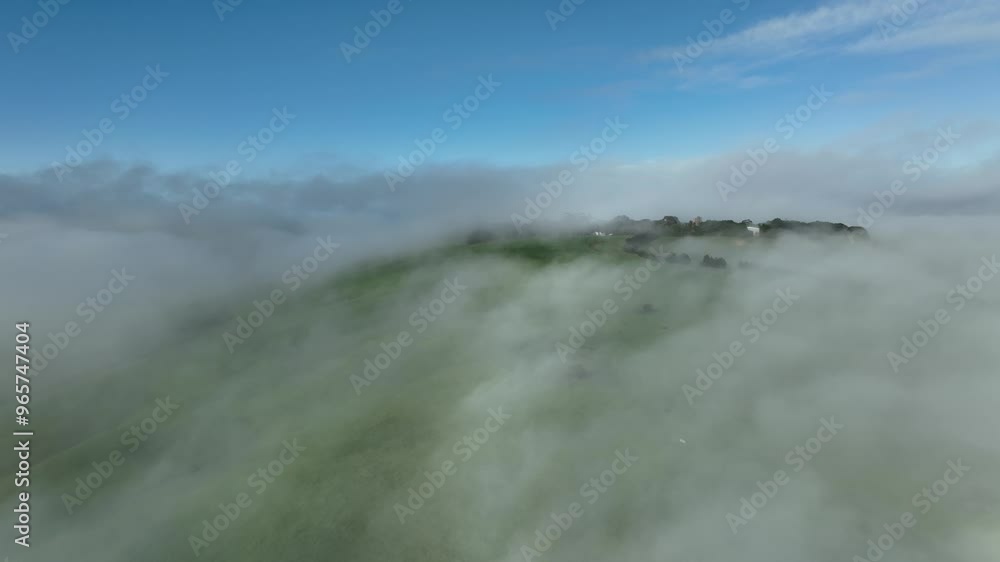 mist over a Farming landscape with beautiful cows and cattle grazing on pasture at dswk in the australian outback over hills in spring on a farm, with a crop growing food mist over a Farming landscape with beautiful cows and cattle grazing on pasture at dswk in the australian outback over hills in spring on a farm, with a crop growing food