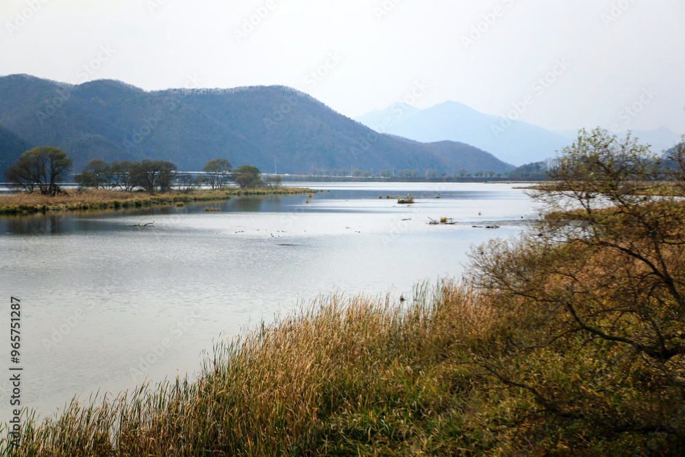 Obraz premium View of the river in autumn