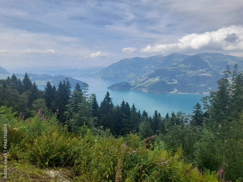 Fototapeta premium Switzerland landscape