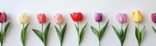 Minimalist Row of Colorful Tulips for Valentines Day