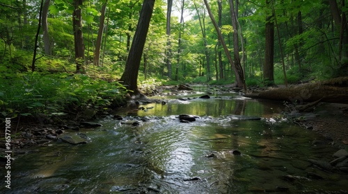 Summer brings out the best in nature. Imagine hiking through a lush forest, where the trees provide cool shade and the air is filled with the scent of pine