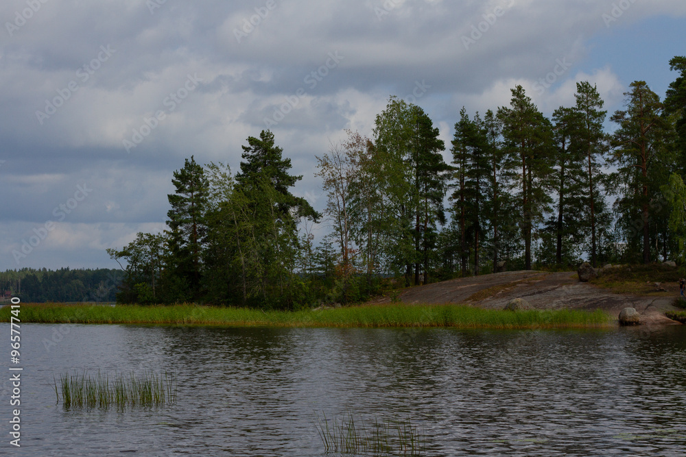 Fototapeta premium View of the forest beside the river against a cloudy sky