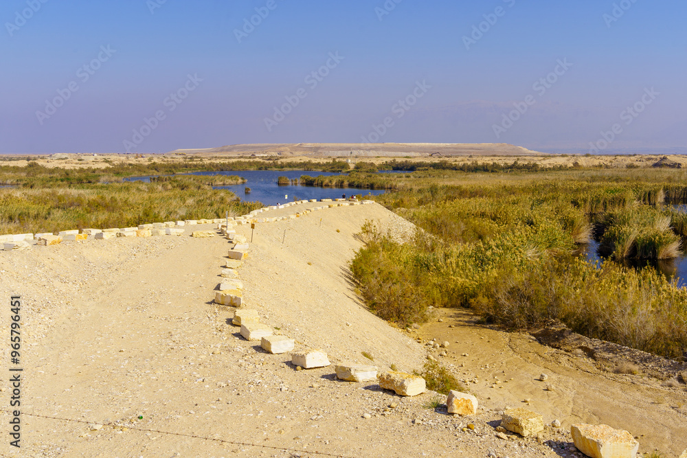 Sodom Salt Marshes bird sanctuary