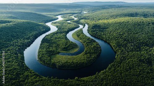 Aerial view of a meandering river cutting through a lush, dense forest with rolling hills in the background. The river forms several sharp bends and oxbows.