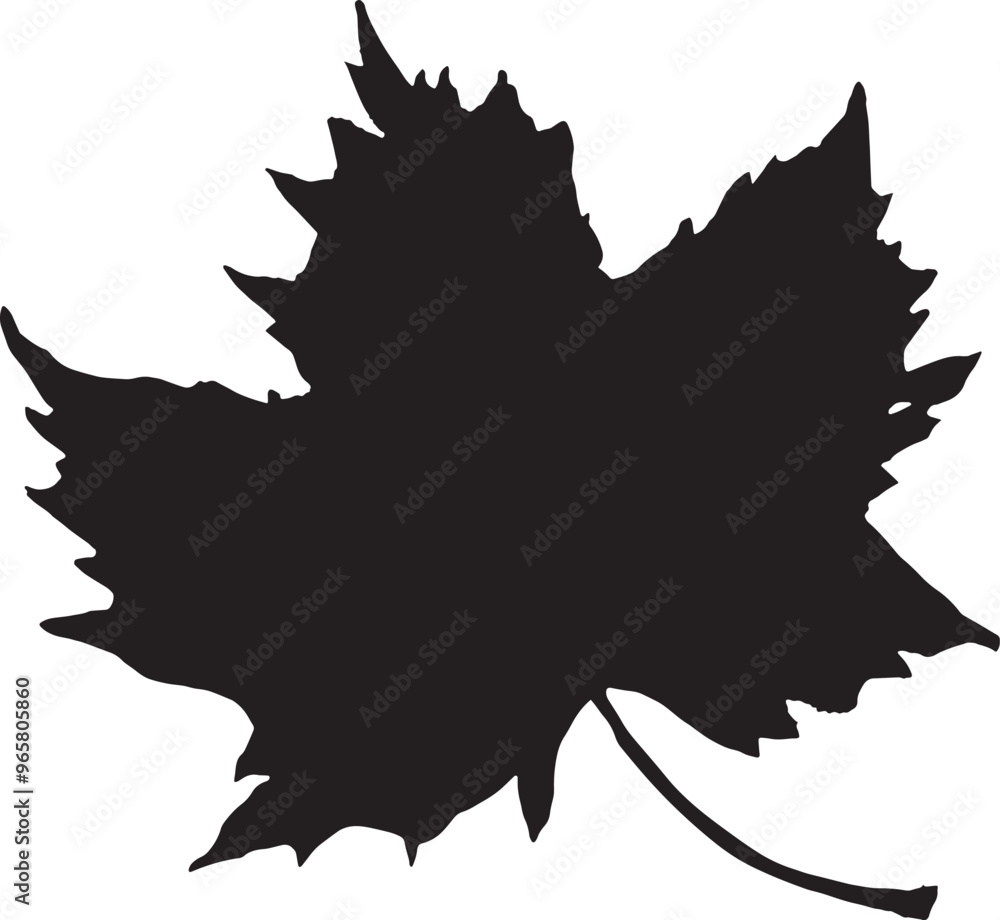 leaf silhouette isolated on white background leaf silhouette isolated on white background