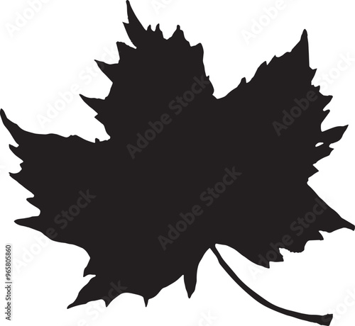 leaf silhouette isolated on white background