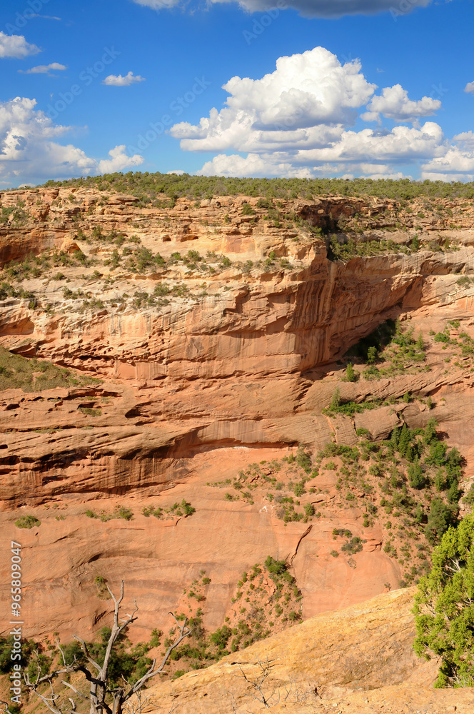 Fototapeta premium Surrounding Terrain, Cliffs, and Valley Canyon De Chelly Arizona