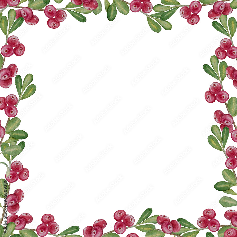 Watercolor frame of cranberriess, ripe berries harvest, isolated on white background, for card invitation design backgrounds Watercolor frame of cranberriess, ripe berries harvest, isolated on white background, for card invitation design backgrounds