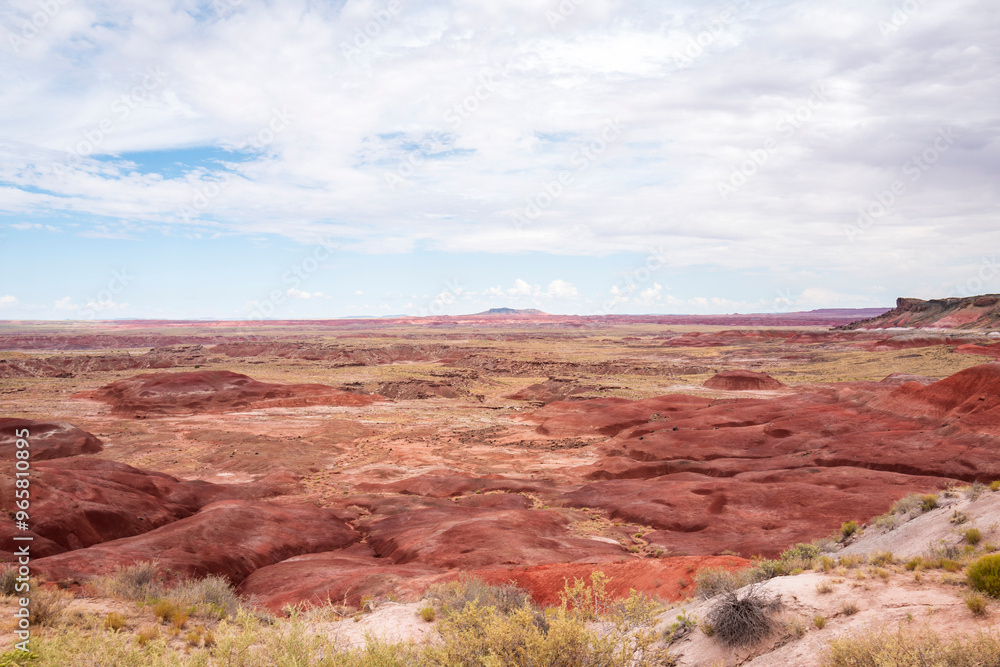 petrified forest national park petrified forest national park