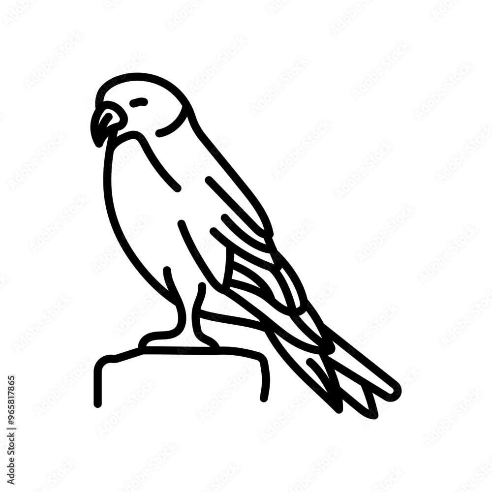 Fototapeta premium Kestrel Outline Icon, Vector illustration