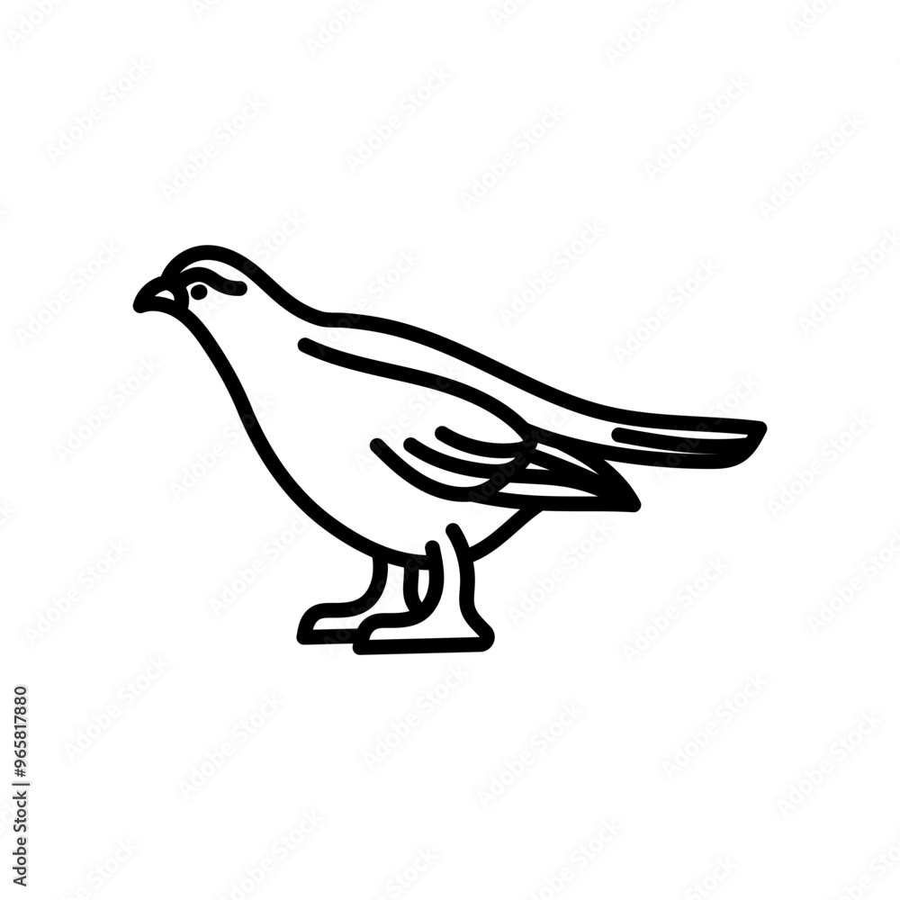 Fototapeta premium Grouse Outline Icon, Vector illustration
