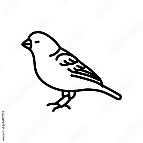 Canary Outline Icon, Vector illustration