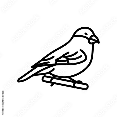 Finch Outline Icon, Vector illustration