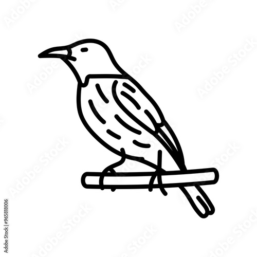 Oriole Outline Icon, Vector illustration