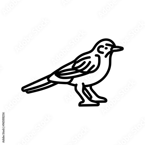 Mockingbird Outline Icon, Vector illustration