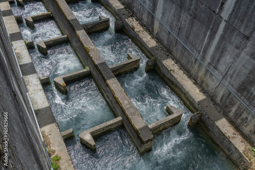 Fischtreppe bei Domat/Ems, Kanton Graubünden, Schweiz