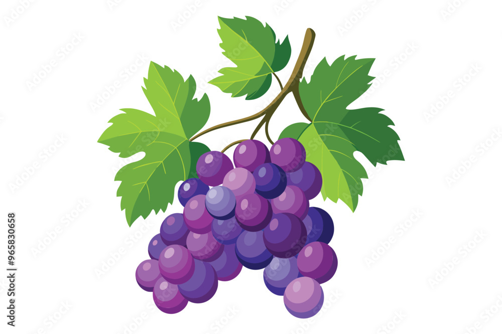 Fototapeta premium 2d flat vector clipart of cluster-style grapes