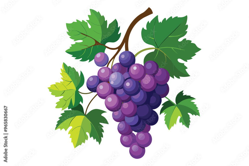 Fototapeta premium 2d flat vector clipart of cluster-style grapes