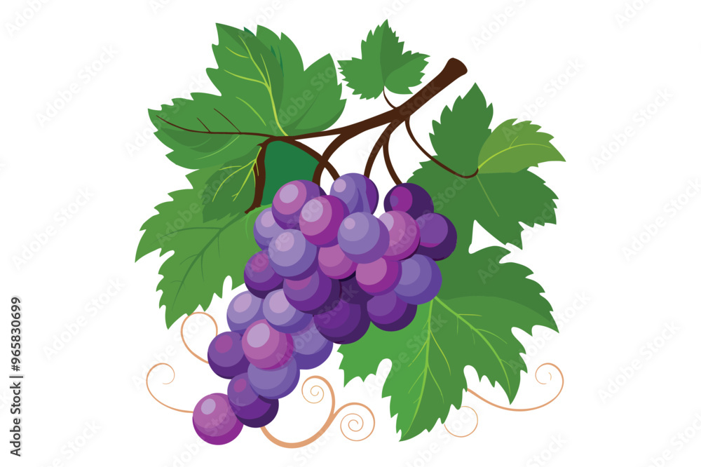 Fototapeta premium 2d flat vector clipart of cluster-style grapes