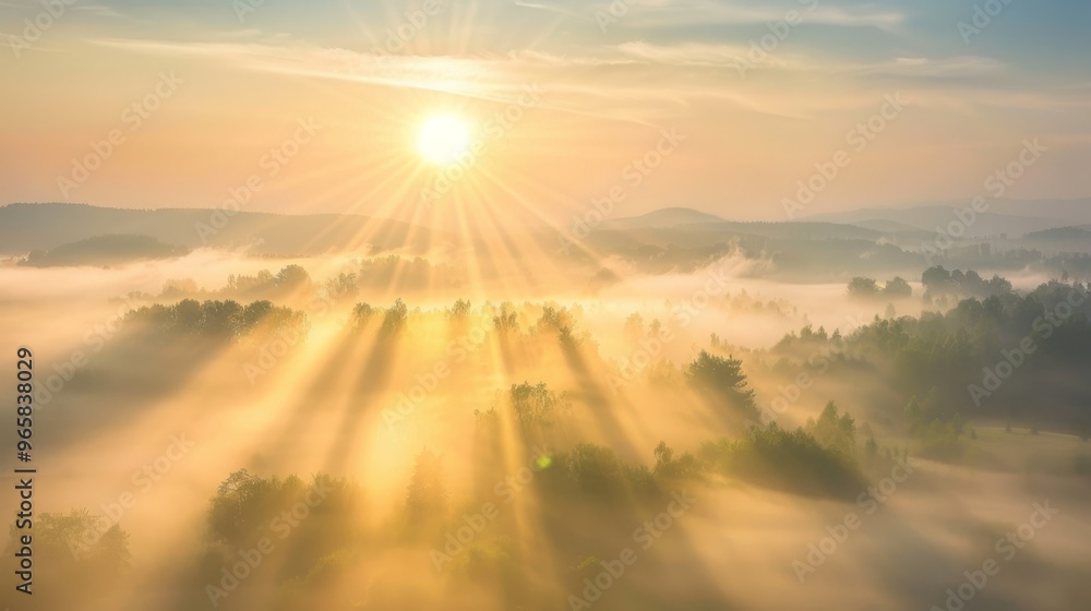 Gentle sun rays illuminating foggy landscape at dawn Gentle sun rays illuminating foggy landscape at dawn