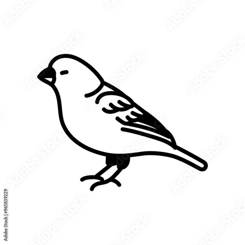 Canary Glyph Icon, Vector illustration