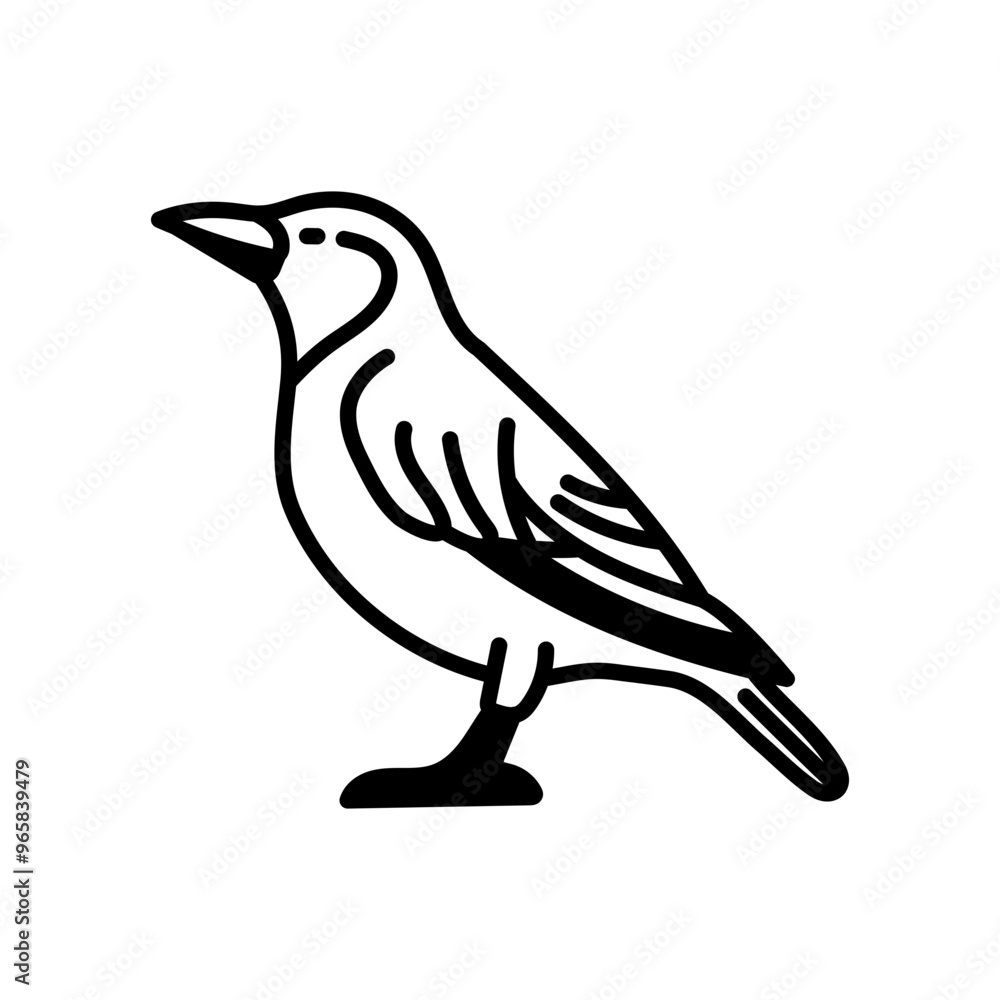 Fototapeta premium Starling Glyph Icon, Vector illustration